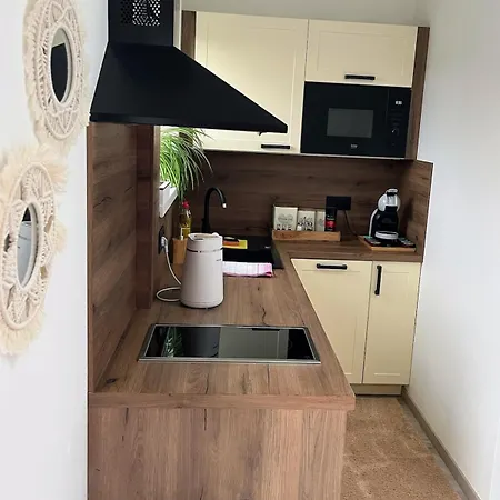 Charming Near Prague Airport Daire
